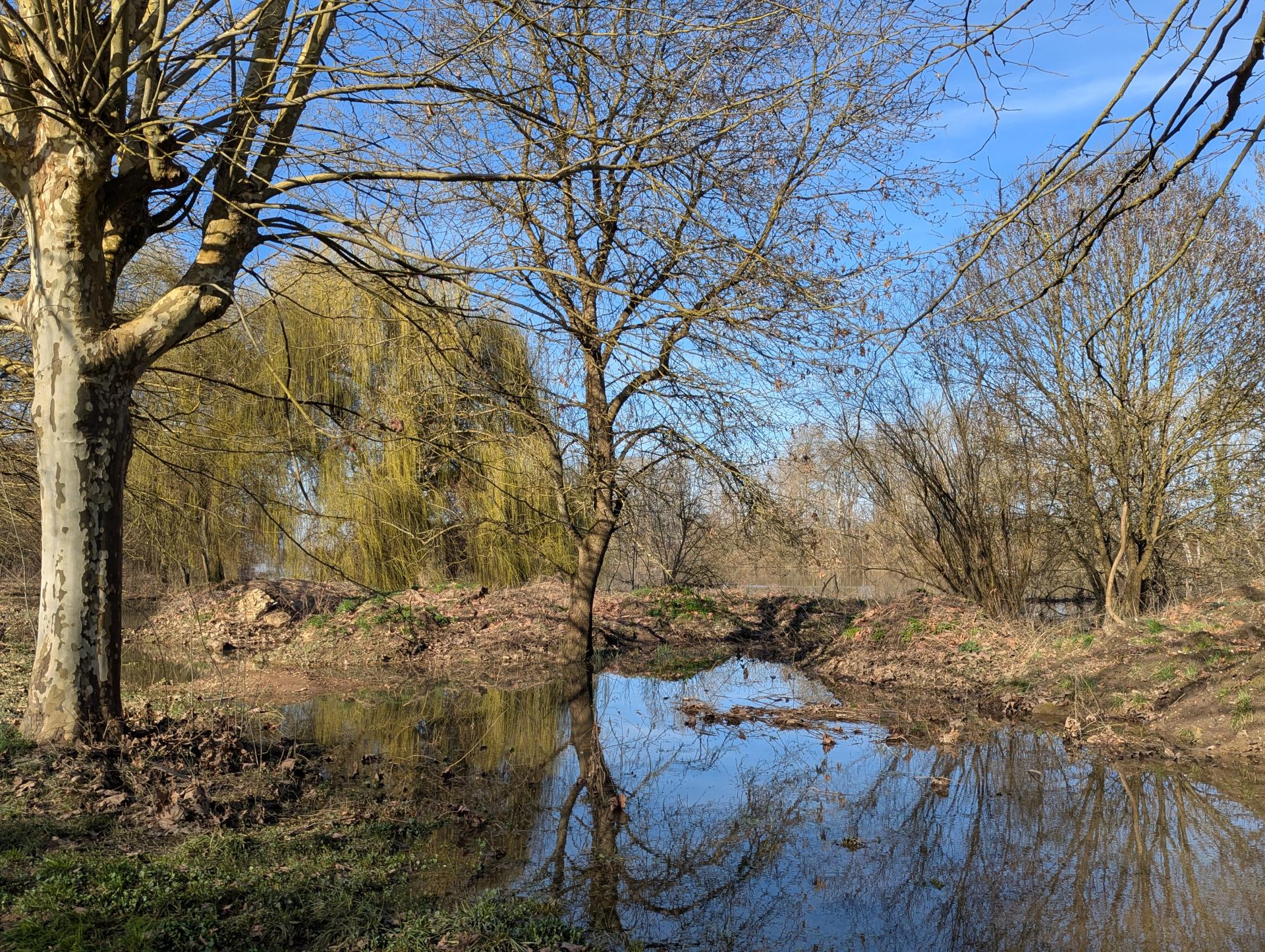 Pas de terre apres la crue